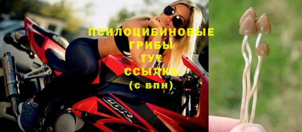 дмт Вязьма