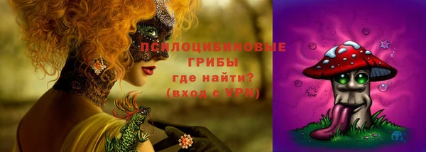 прущие крисы Горнозаводск