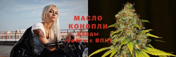 амф Вяземский