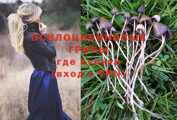 ПСИЛОЦИБИНОВЫЕ ГРИБЫ Вязники