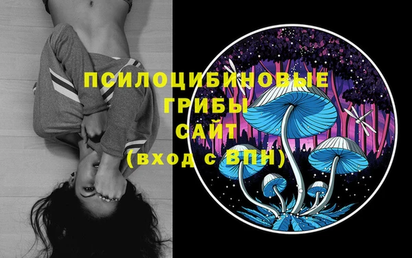 дмт Вязьма