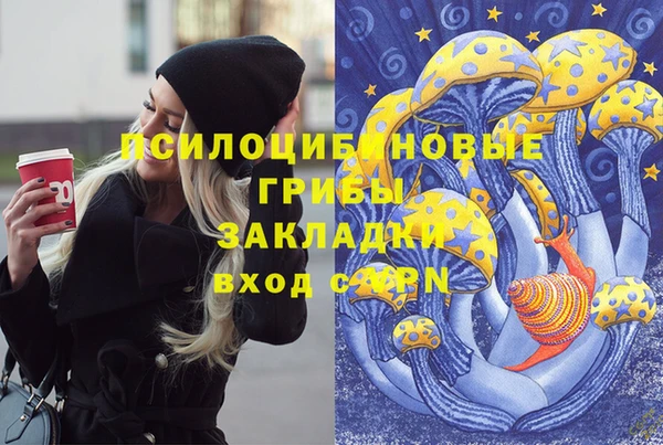 ПСИЛОЦИБИНОВЫЕ ГРИБЫ Вязники