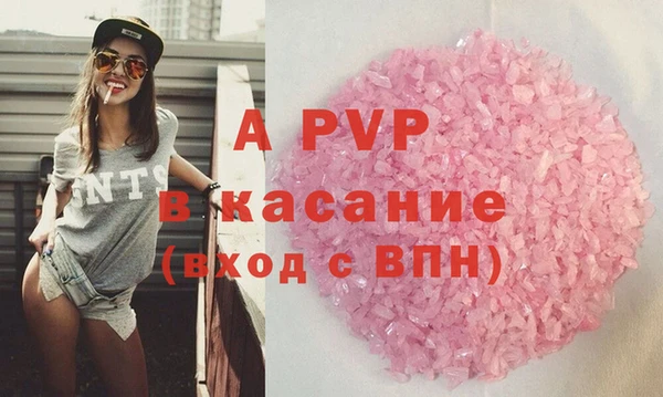 ПСИЛОЦИБИНОВЫЕ ГРИБЫ Вязники