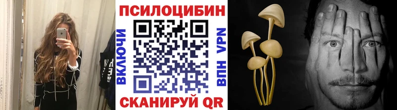 купить наркотик  Чишмы  сайты даркнета телеграм  Псилоцибиновые грибы мицелий 